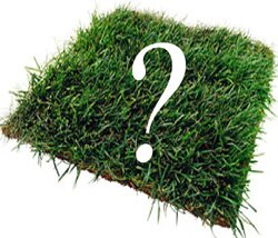 Оценка возможности оформления земельно-правовых отношений Оценка возможности оформления земельно-правовых отношений